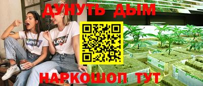 прущие грибы Абинск