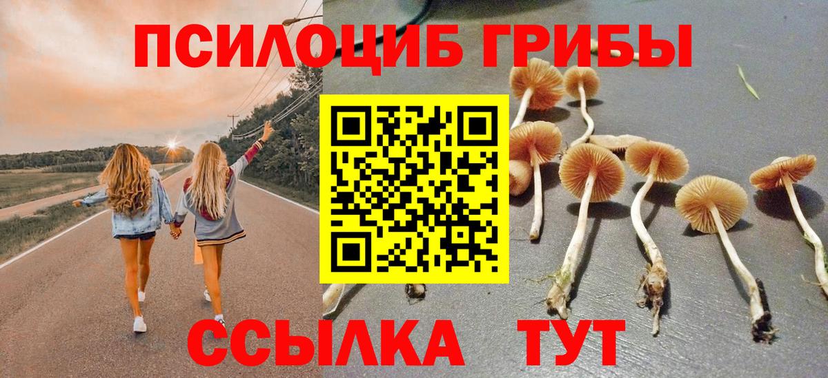 Псилоцибиновые грибы ЛСД  Вход с VPN  Абинск  как найти закладки  Галлюциногенные грибы Psilocybe 